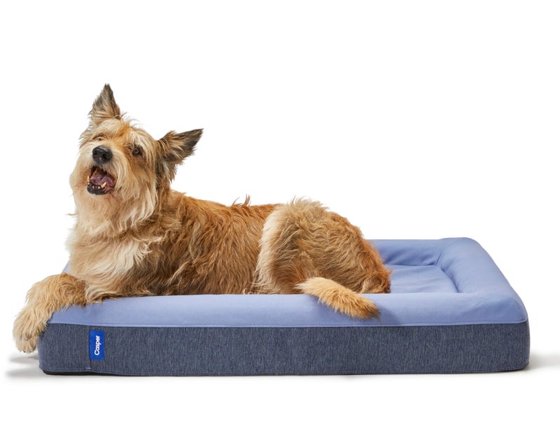 Casper Dog Bed, Plush Memory Foam, Small, Blue - Image 1